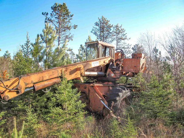 $1,200,000 | Abc Bally Creek Road, Grand Marais, MN 55604