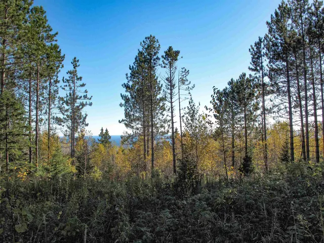 $1,200,000 | Abc Bally Creek Road, Grand Marais, MN 55604