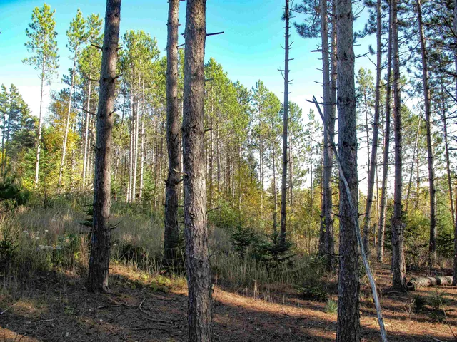 $1,200,000 | Abc Bally Creek Road, Grand Marais, MN 55604