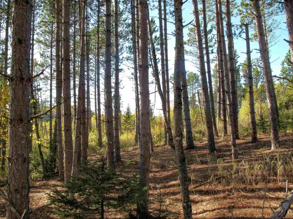 $1,200,000 | Abc Bally Creek Road, Grand Marais, MN 55604
