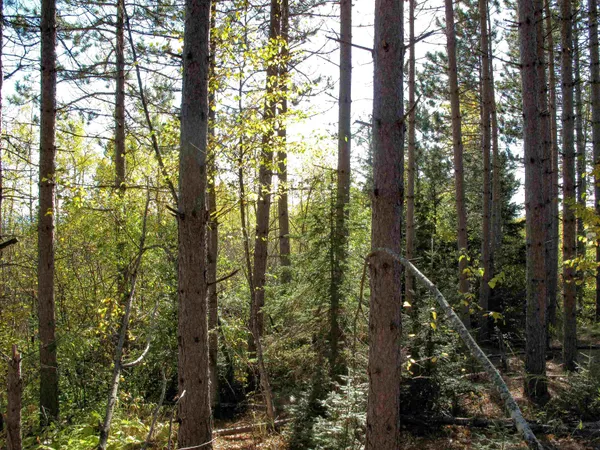 $1,200,000 | Abc Bally Creek Road, Grand Marais, MN 55604