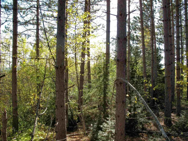 $1,200,000 | Abc Bally Creek Road, Grand Marais, MN 55604