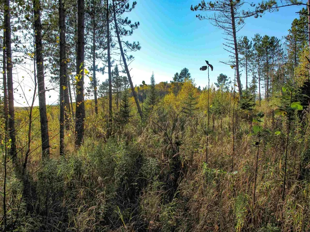 $1,200,000 | Abc Bally Creek Road, Grand Marais, MN 55604