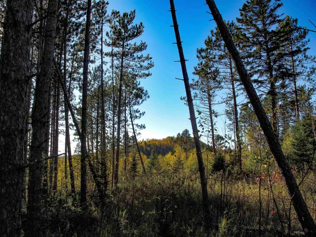 $1,200,000 | Abc Bally Creek Road, Grand Marais, MN 55604