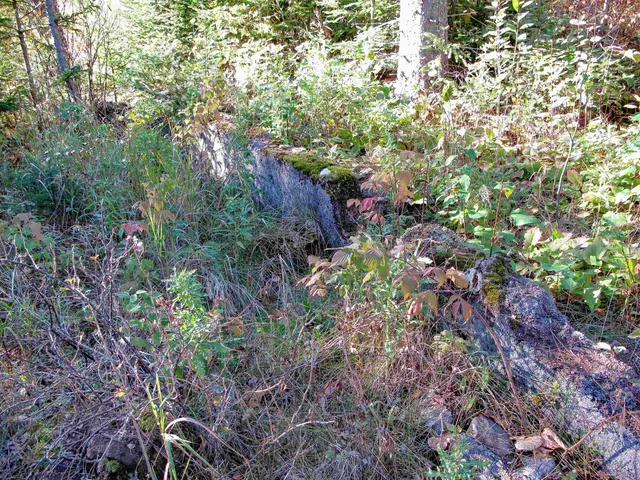 $1,200,000 | Abc Bally Creek Road, Grand Marais, MN 55604