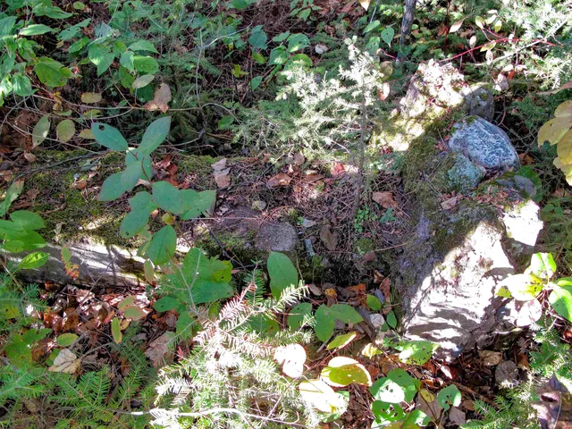 $1,200,000 | Abc Bally Creek Road, Grand Marais, MN 55604