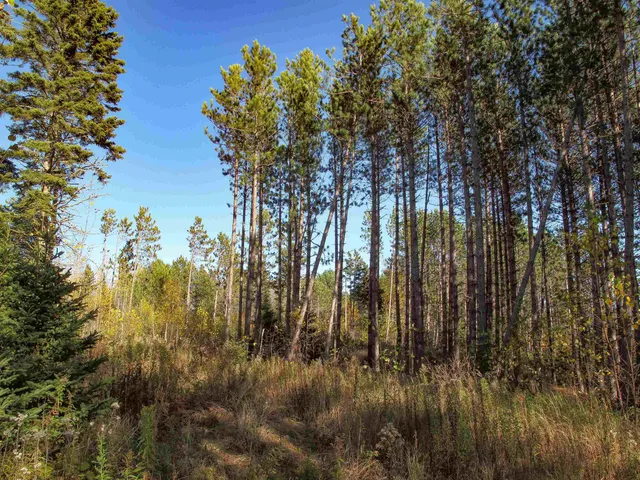 $1,200,000 | Abc Bally Creek Road, Grand Marais, MN 55604
