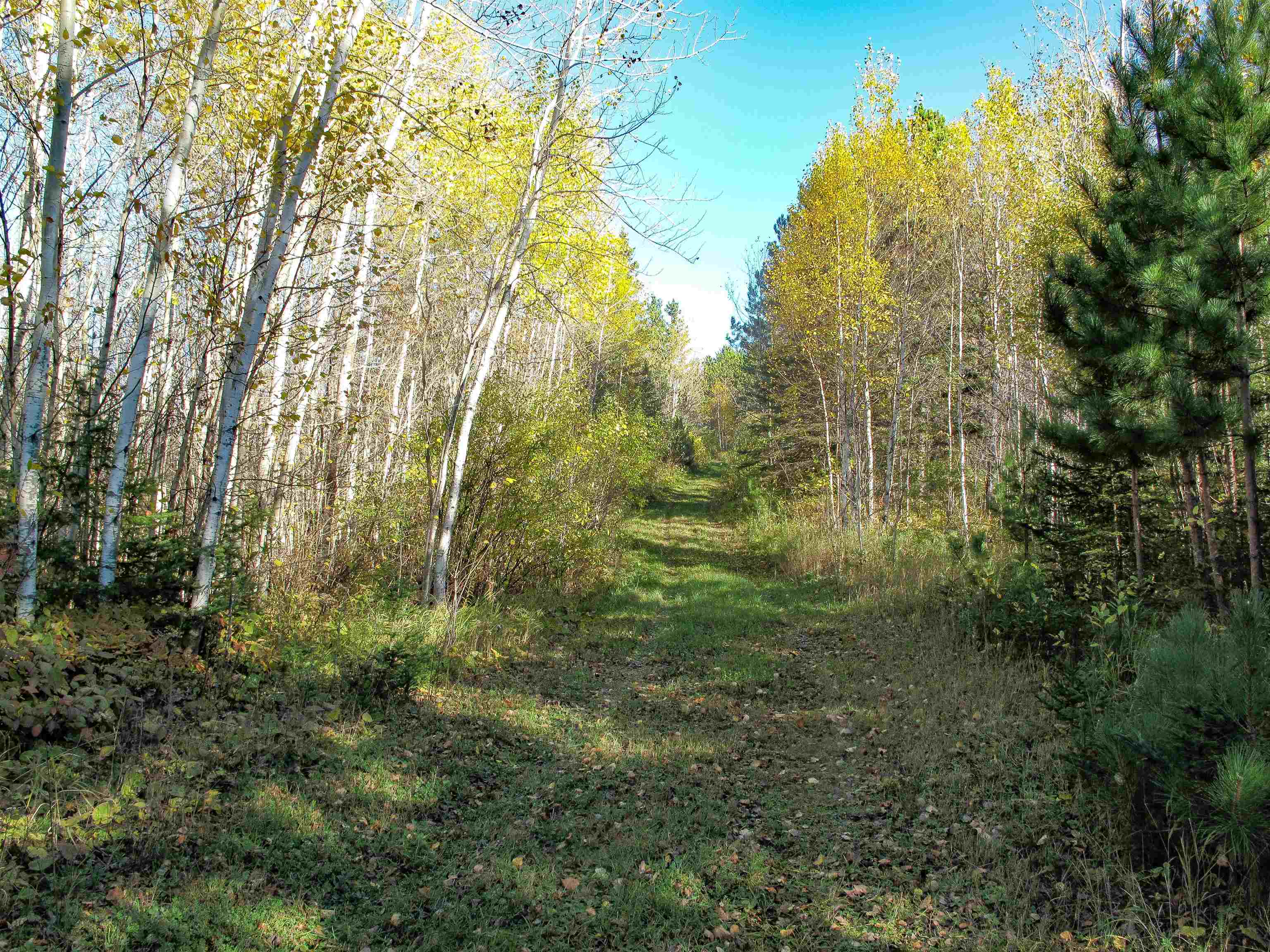 Abc Bally Creek Road Grand Marais, MN 55604 - Photo 70 of 72