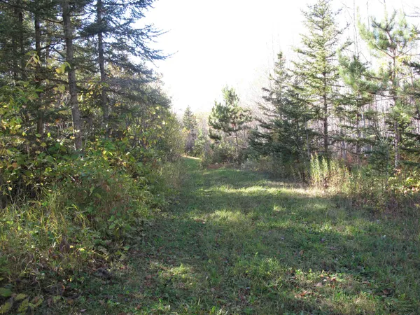$1,200,000 | Abc Bally Creek Road, Grand Marais, MN 55604