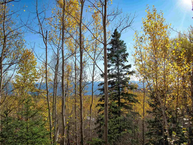 $1,200,000 | Abc Bally Creek Road, Grand Marais, MN 55604