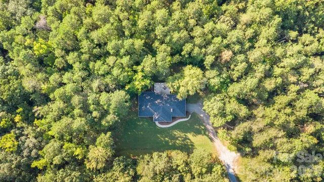 a view of a yard with flower plants