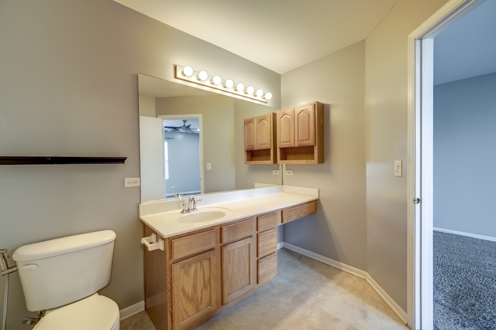 4055 Blackstone Drive, Unit 4055 Aurora, IL 60504 - Photo 25 of 43 a bathroom with a toilet sink and mirror