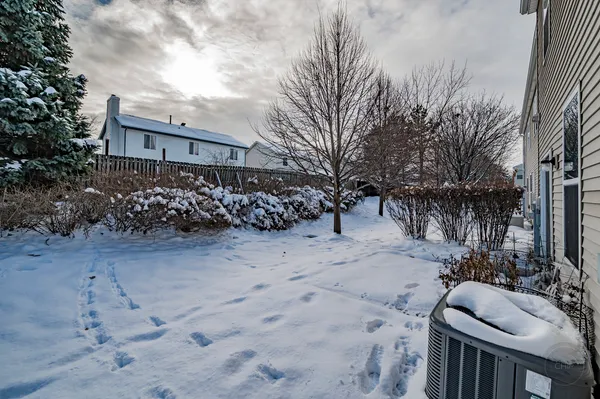 a view of backyard of house