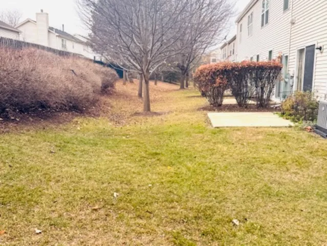 a view of back yard of the house