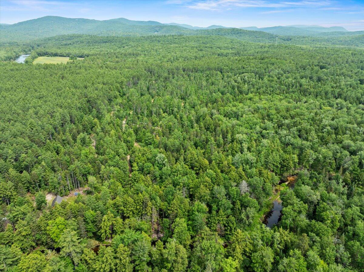 0 Pratt Road Parsonsfield, ME 04047 - Photo 14 of 14 03-289 Pratt Rd-3