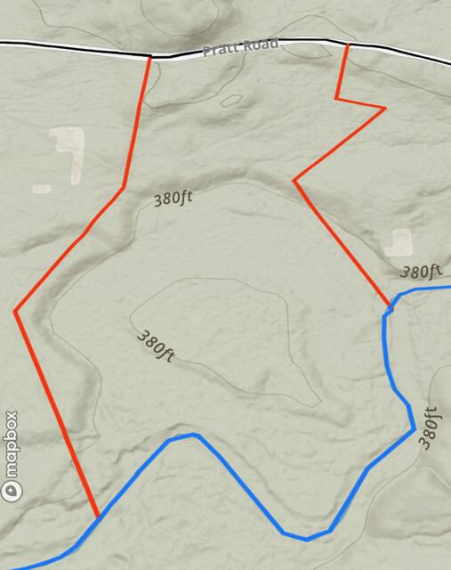 0 Pratt Road Parsonsfield, ME 04047 - Photo 3 of 14 land to be conveyed 2