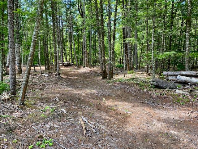 0 Pratt Road Parsonsfield, ME 04047 - Photo 6 of 14 IMG_3121