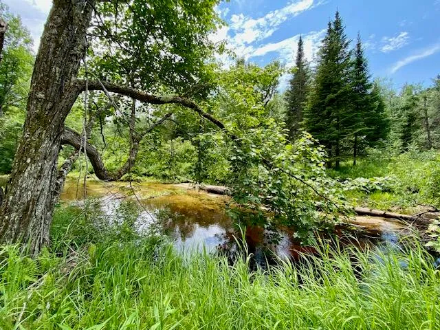 $150,000 | 0 Pratt Road, Parsonsfield, ME 04047