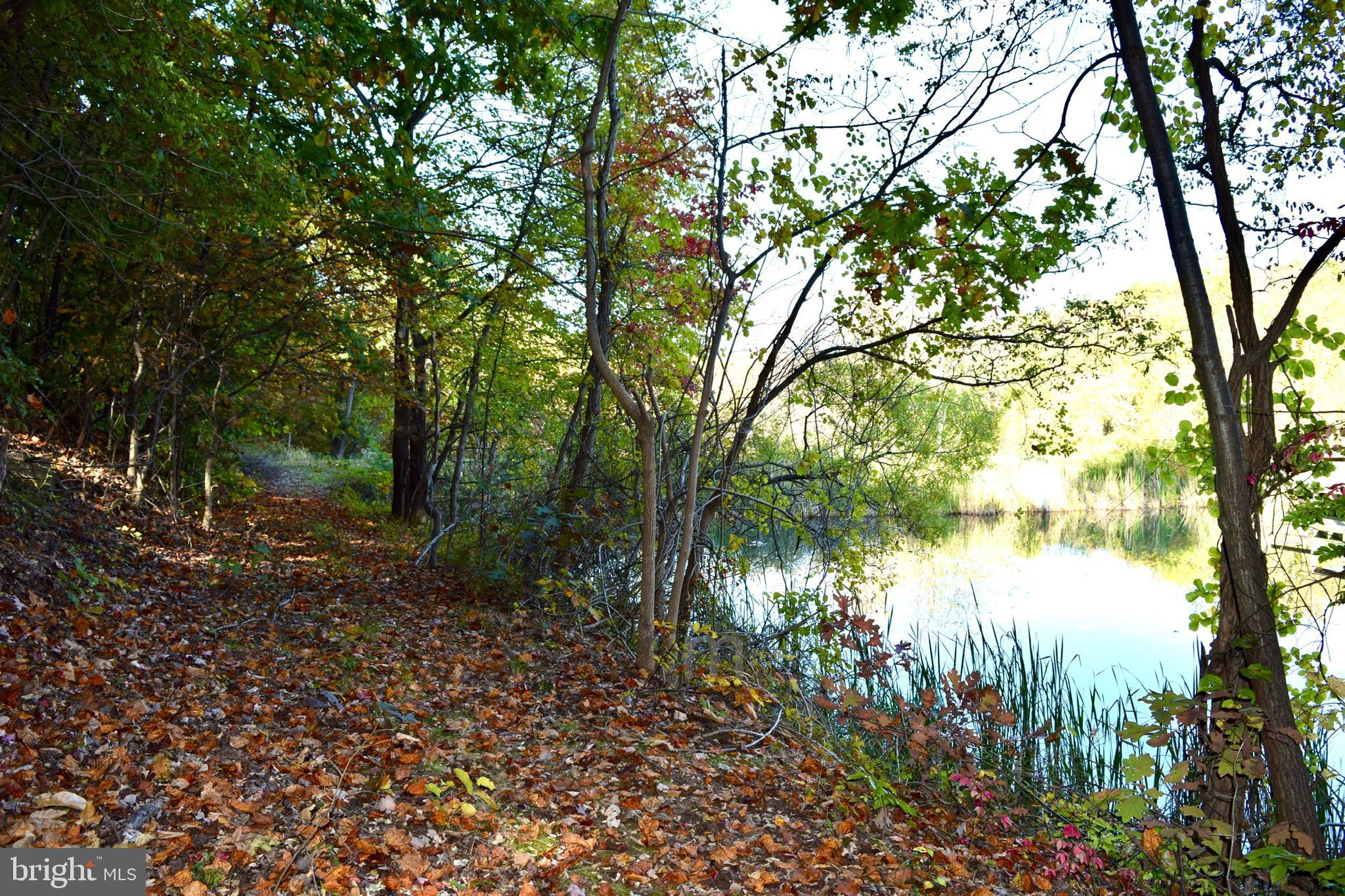 230 Spring Hollow Road Front Royal, VA 22630 - Photo 29 of 37 a backyard of a house with lots of green space