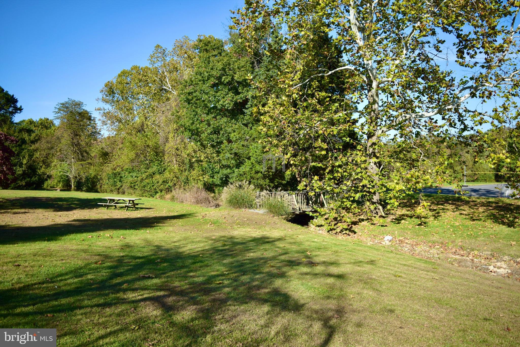 230 Spring Hollow Road Front Royal, VA 22630 - Photo 30 of 37 a view of yard with trees
