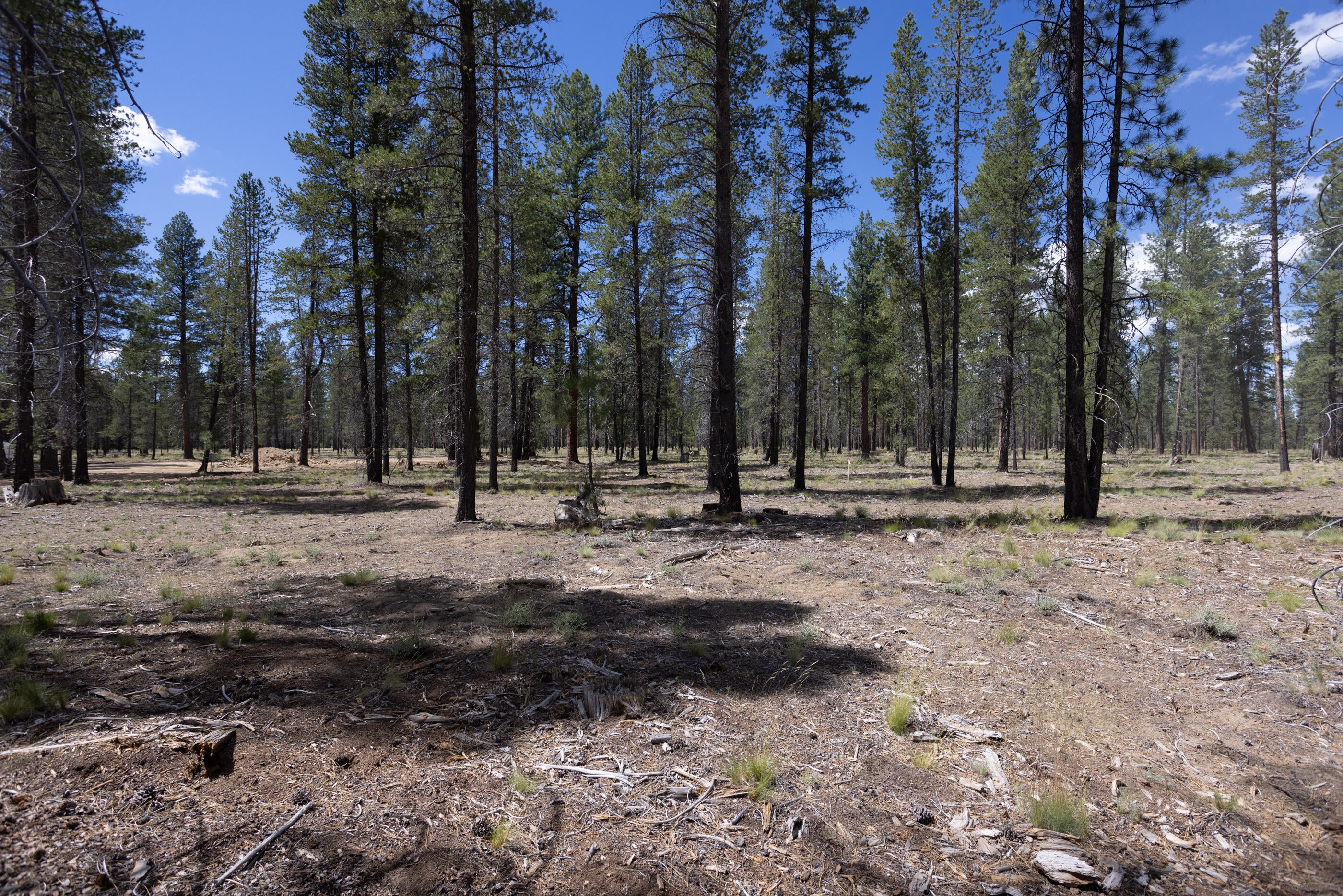 17728 Preservation Loop, Unit 481 Bend, OR 97707 - Photo 1 of 27 Caldera Homesite
