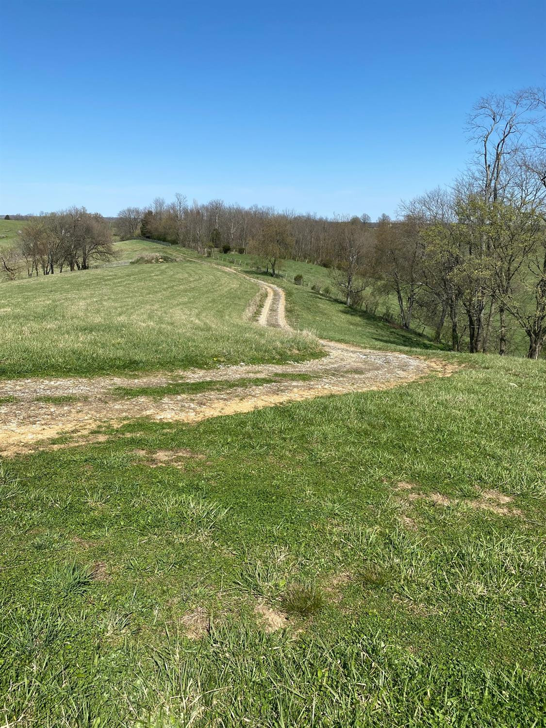 3450 Cane Ridge Road Paris, KY 40361 - Photo 42 of 72 Photo 42