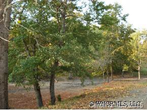 1515 Rock Springs Mill Spring Mill Spring, NC 28756 - Photo 2 of 3
