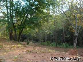 1515 Rock Springs Mill Spring Mill Spring, NC 28756 - Photo 3 of 3 a view of a forest