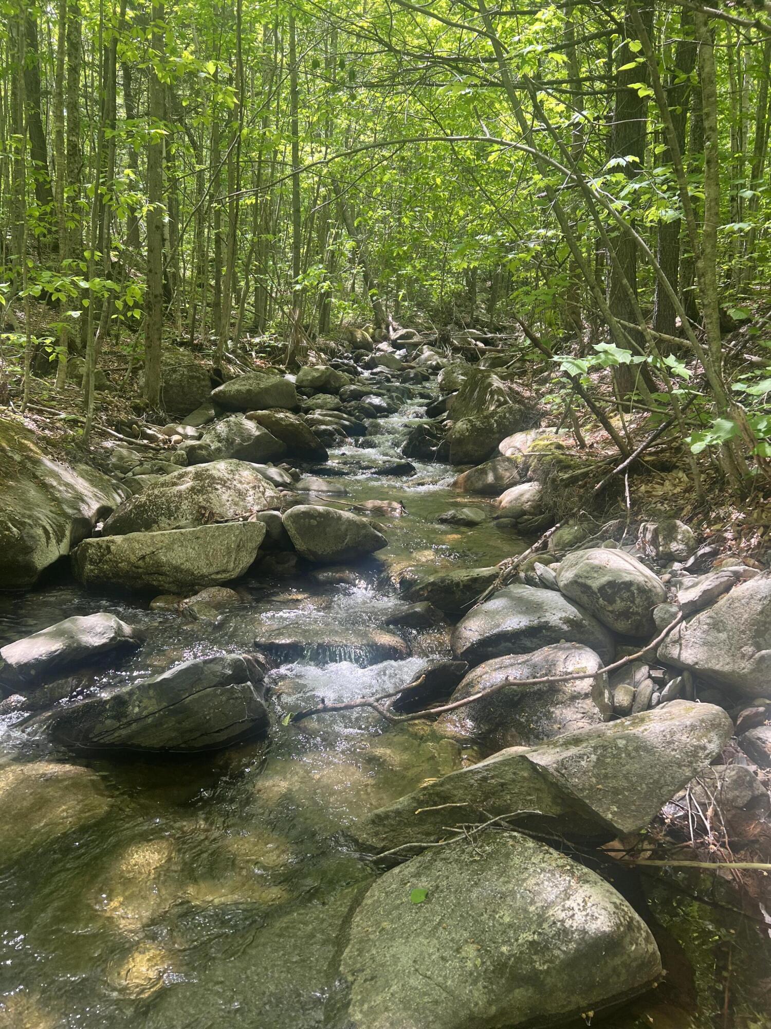 1000 Mountain View Extension Road Temple, ME 04984 - Photo 4 of 13 IMG_5928