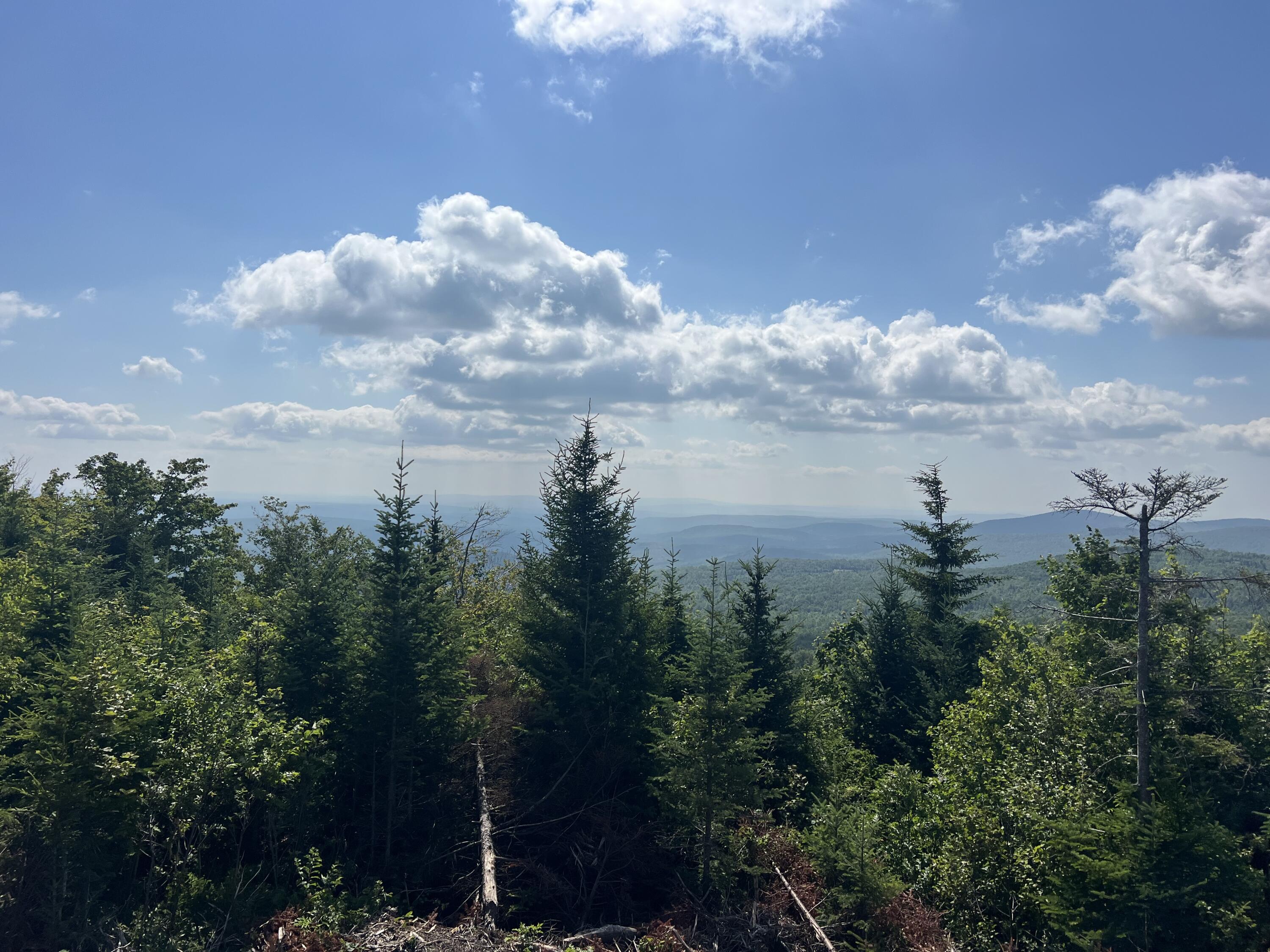 1000 Mountain View Extension Road Temple, ME 04984 - Photo 5 of 13 IMG_6685