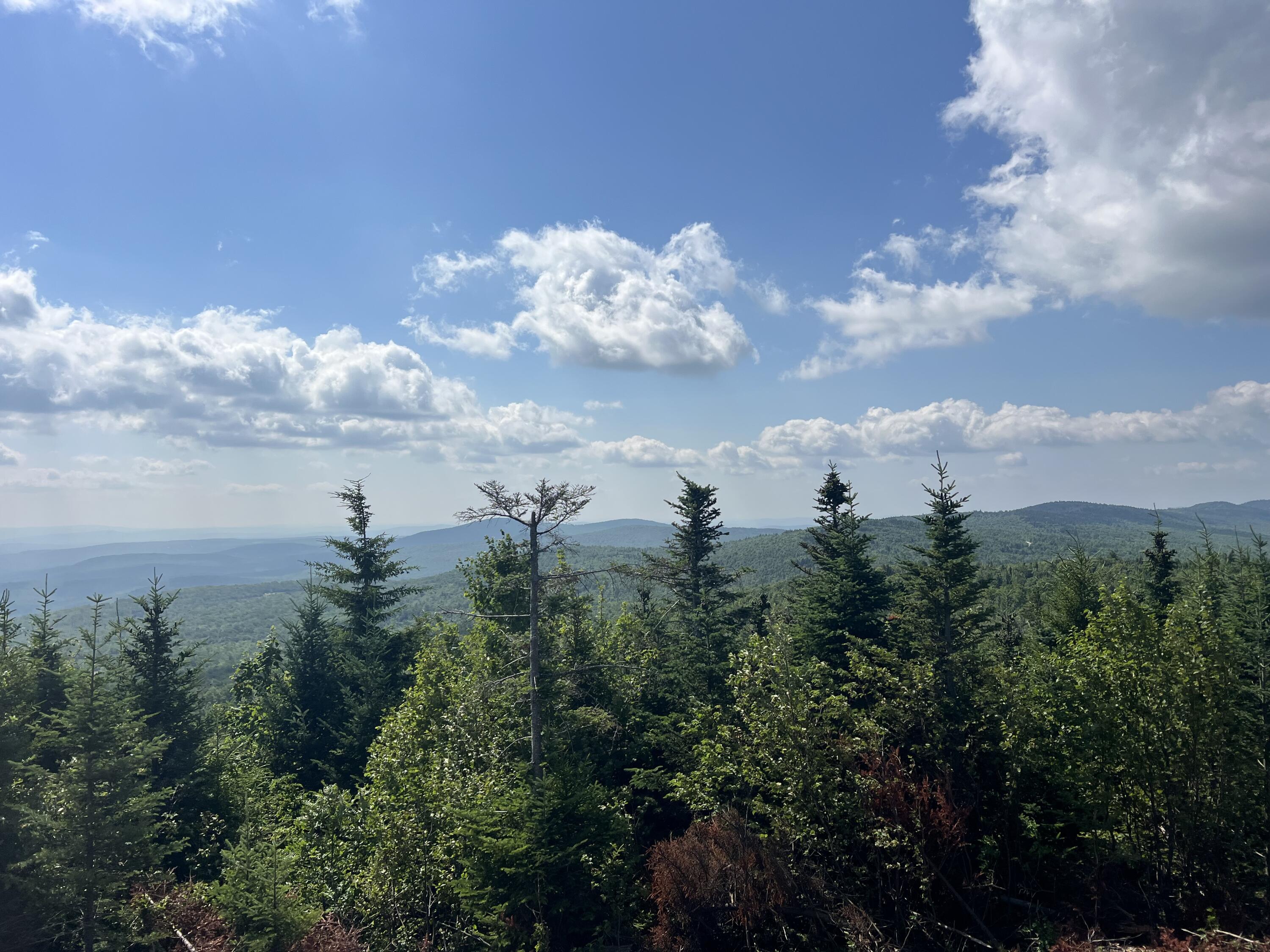 1000 Mountain View Extension Road Temple, ME 04984 - Photo 7 of 13 IMG_6686