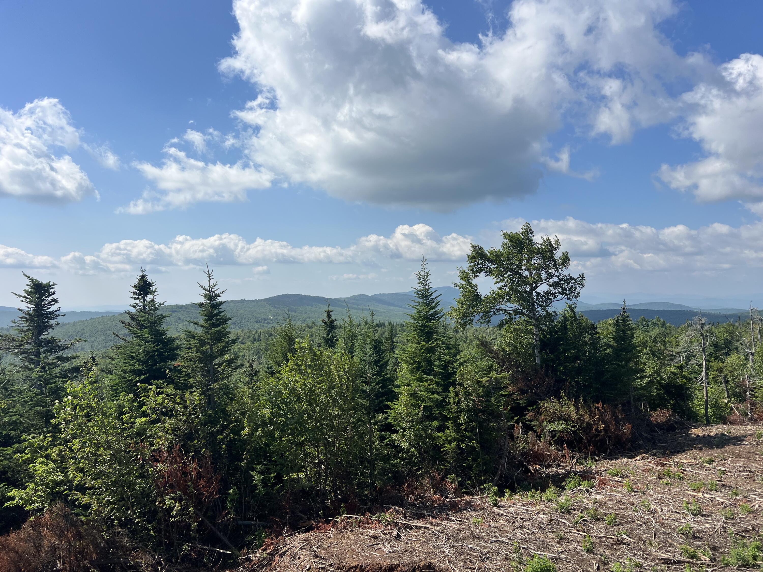 1000 Mountain View Extension Road Temple, ME 04984 - Photo 8 of 13 IMG_6687