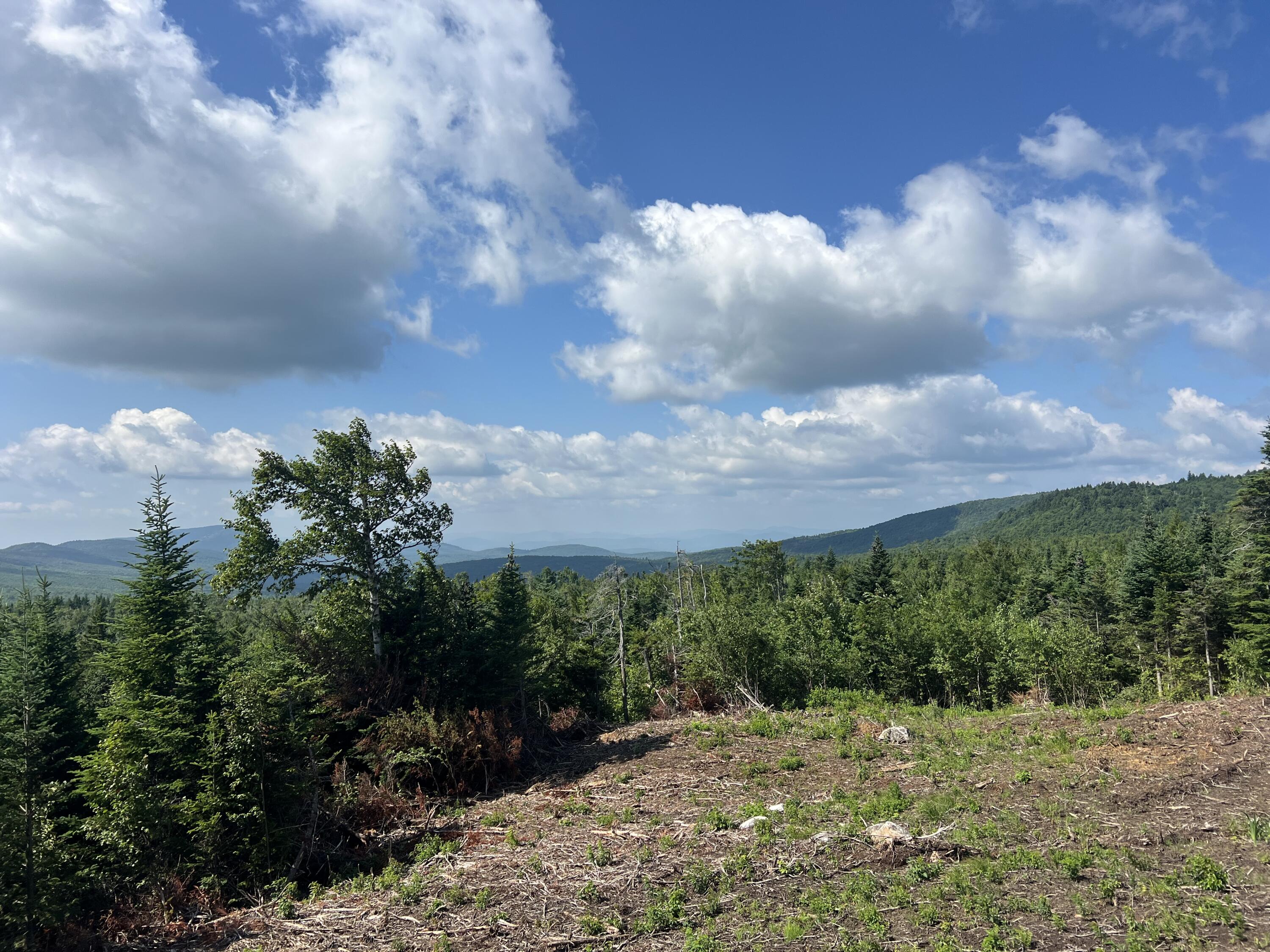 1000 Mountain View Extension Road Temple, ME 04984 - Photo 9 of 13 IMG_6688