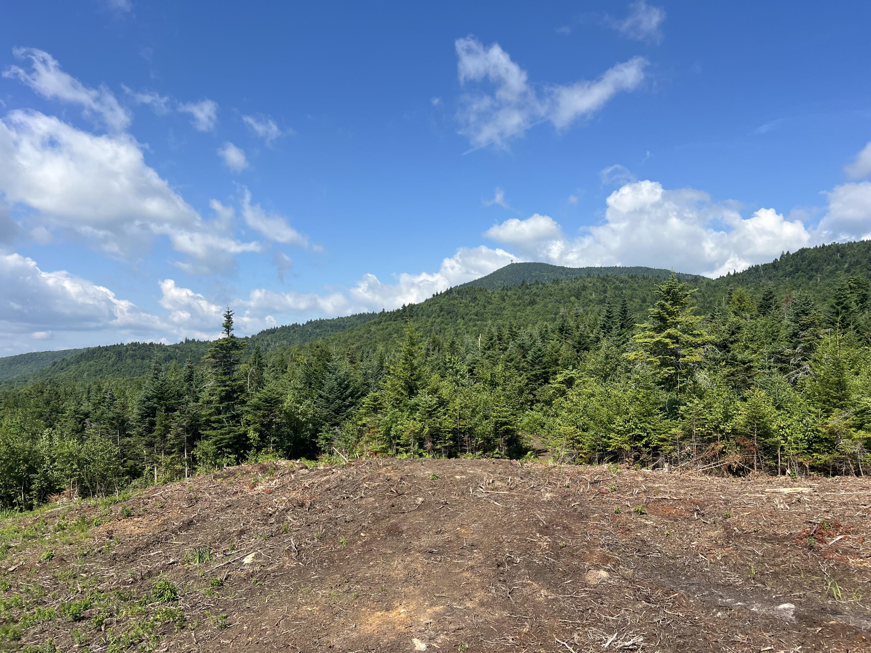 1000 Mountain View Extension Road Temple, ME 04984 - Photo 10 of 13 IMG_6690