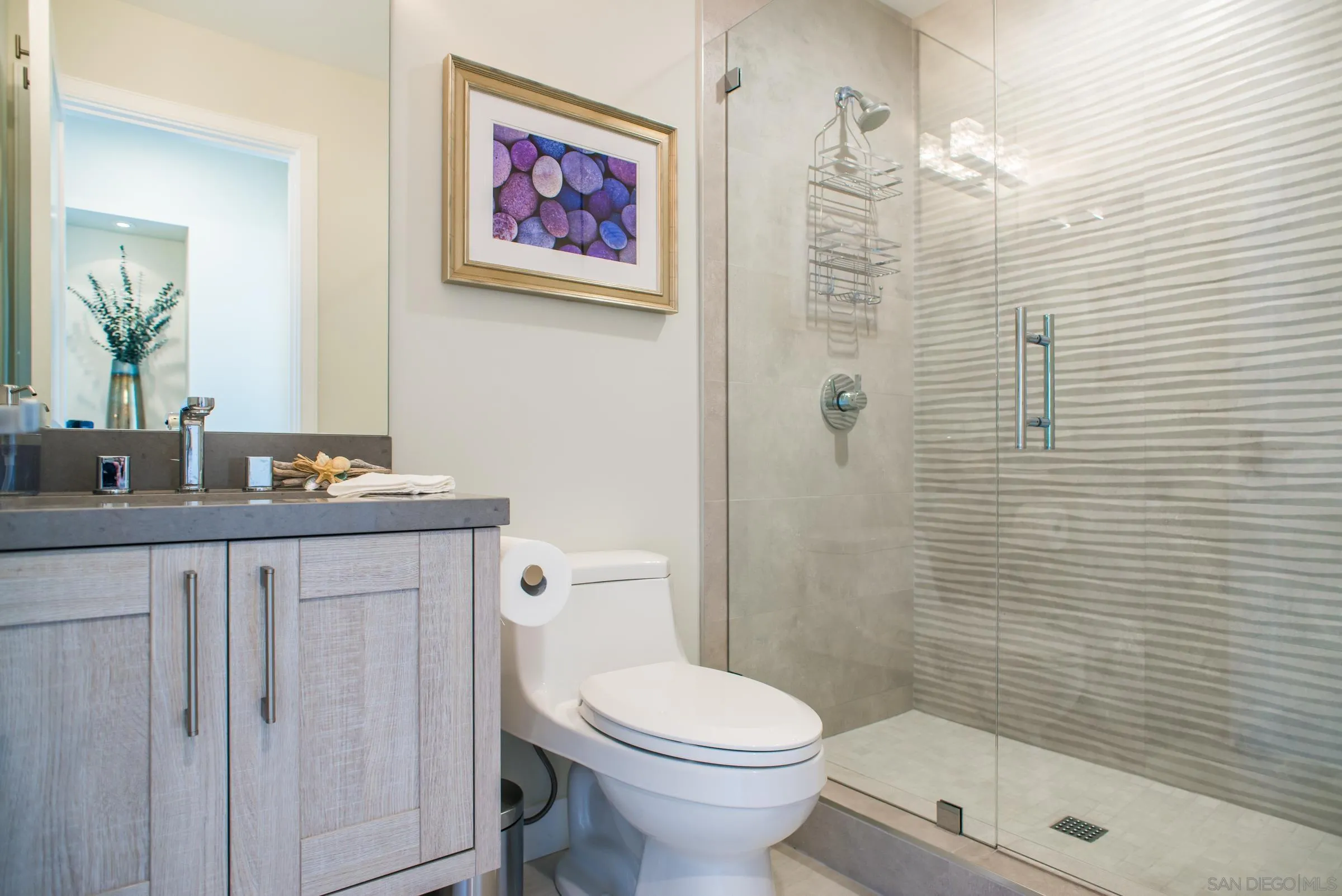 129 West Jason Street Encinitas, CA 92024 - Photo 19 of 44 a bathroom with a toilet a sink and shower