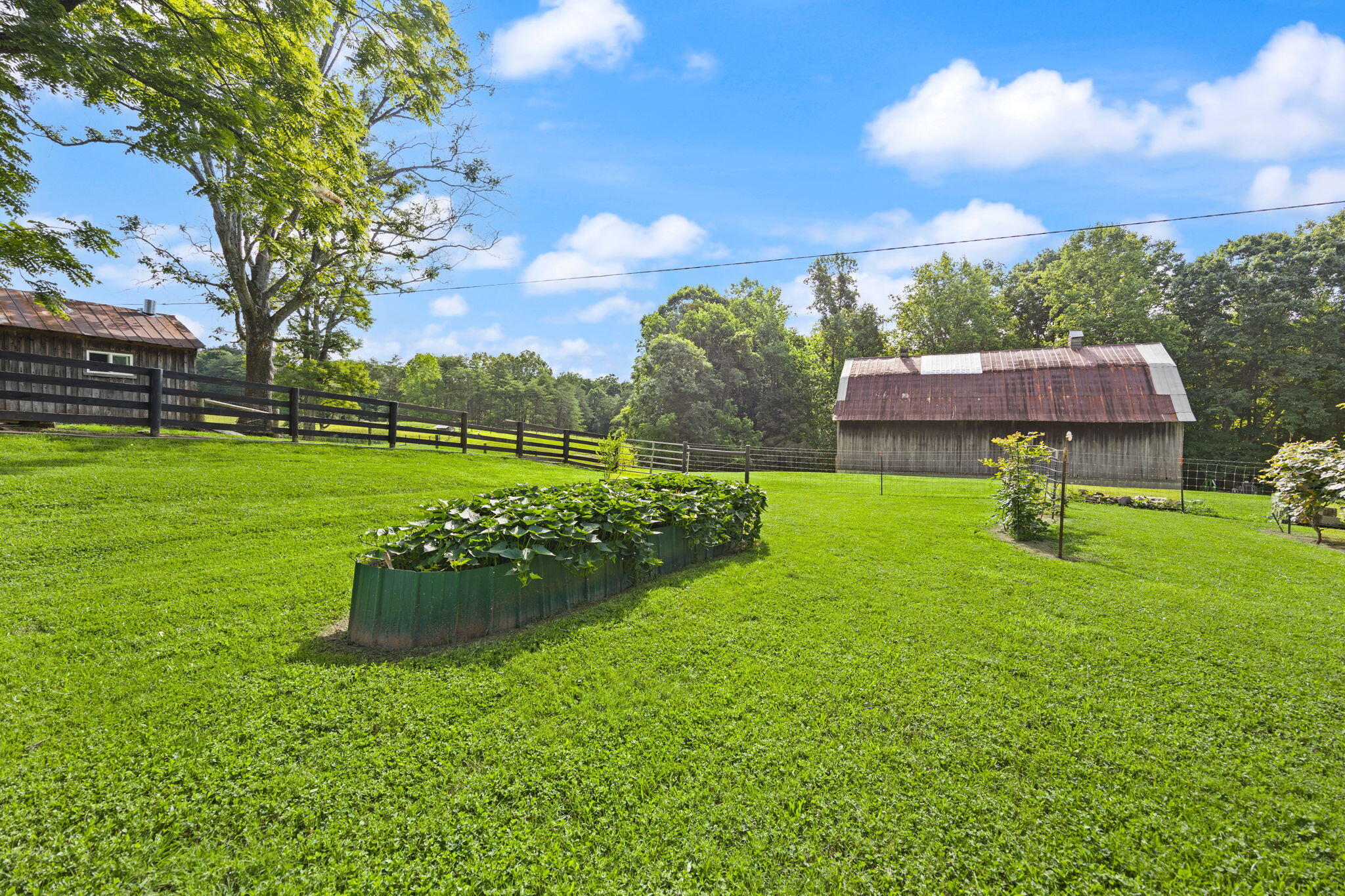 1310 Hopefull School Road Nancy, KY 42544 - Photo 18 of 84 40-web-or-mls-413A4861