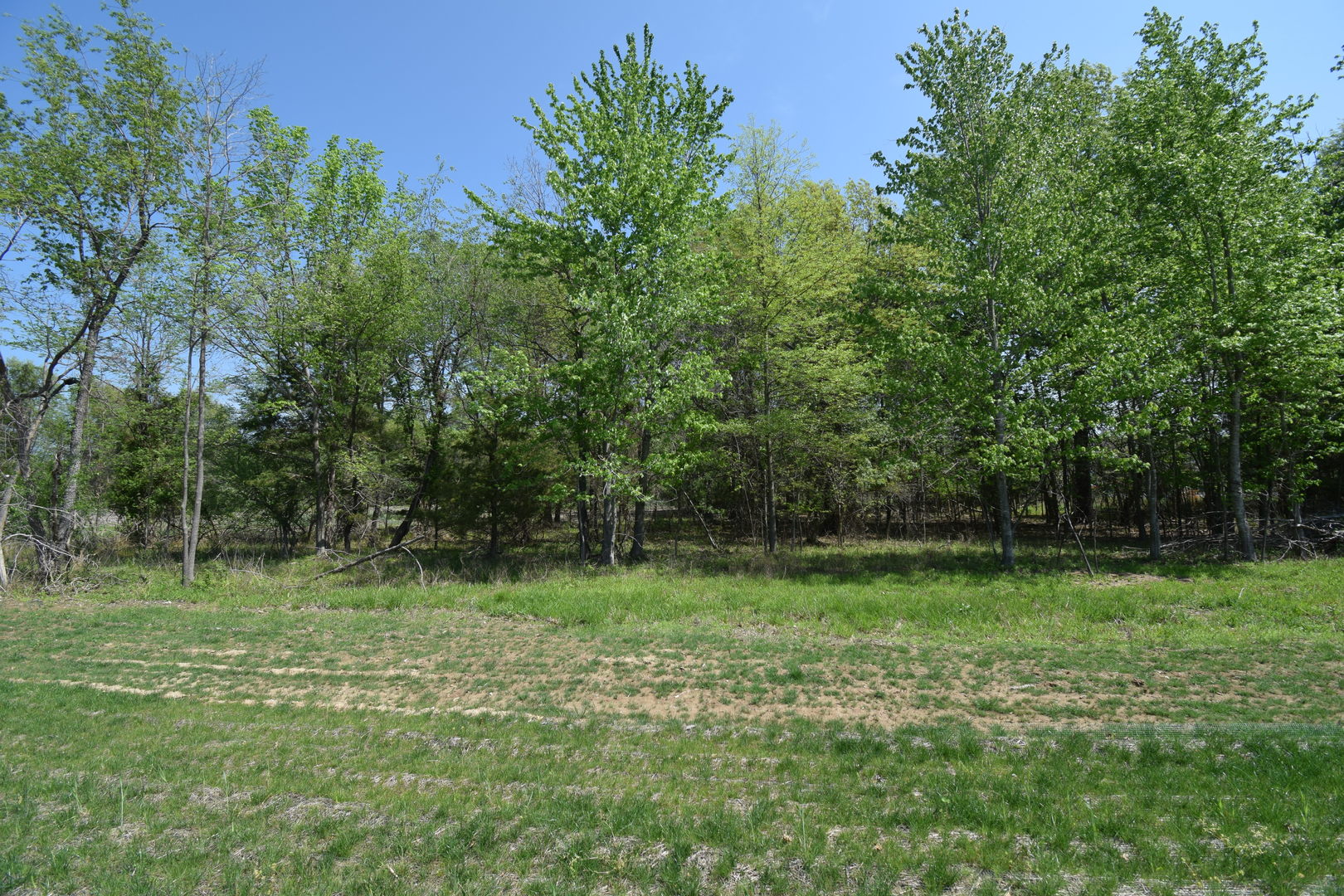 0 South 43rd Street Mount Vernon, IL 62864 - Photo 7 of 9