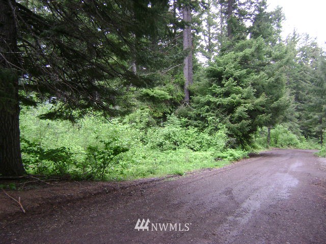 0 Dumbarton Road Ronald, WA 98940 - Photo 1 of 1 Gallery Image 1