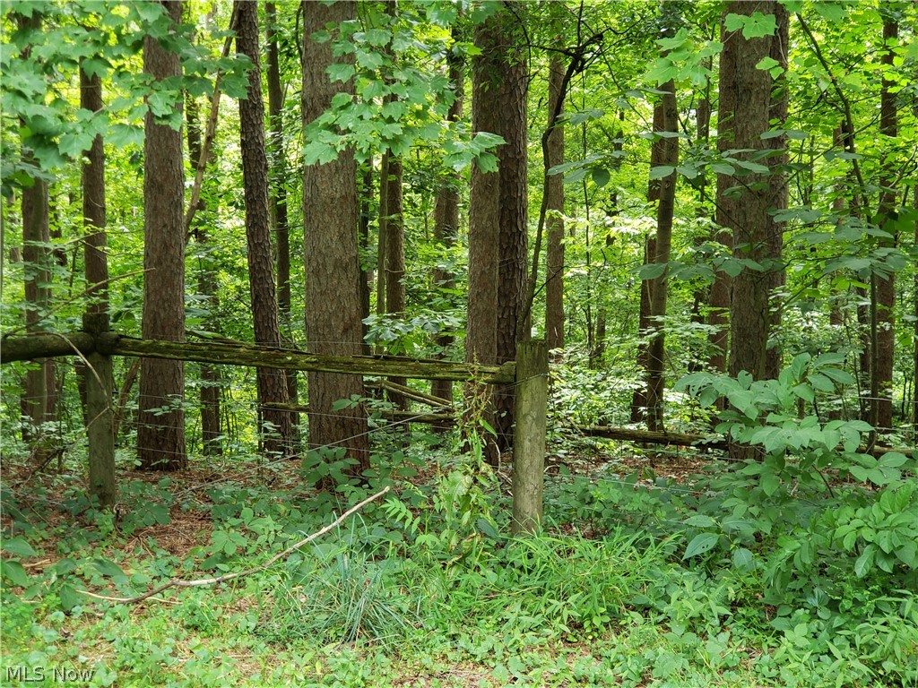 Pisgah Road Quaker City, OH 43773 - Photo 5 of 17 Gallery Image 5