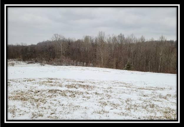 0 Number 12 Hollow Road Wellston, OH 45692 - Photo 38 of 45 image038