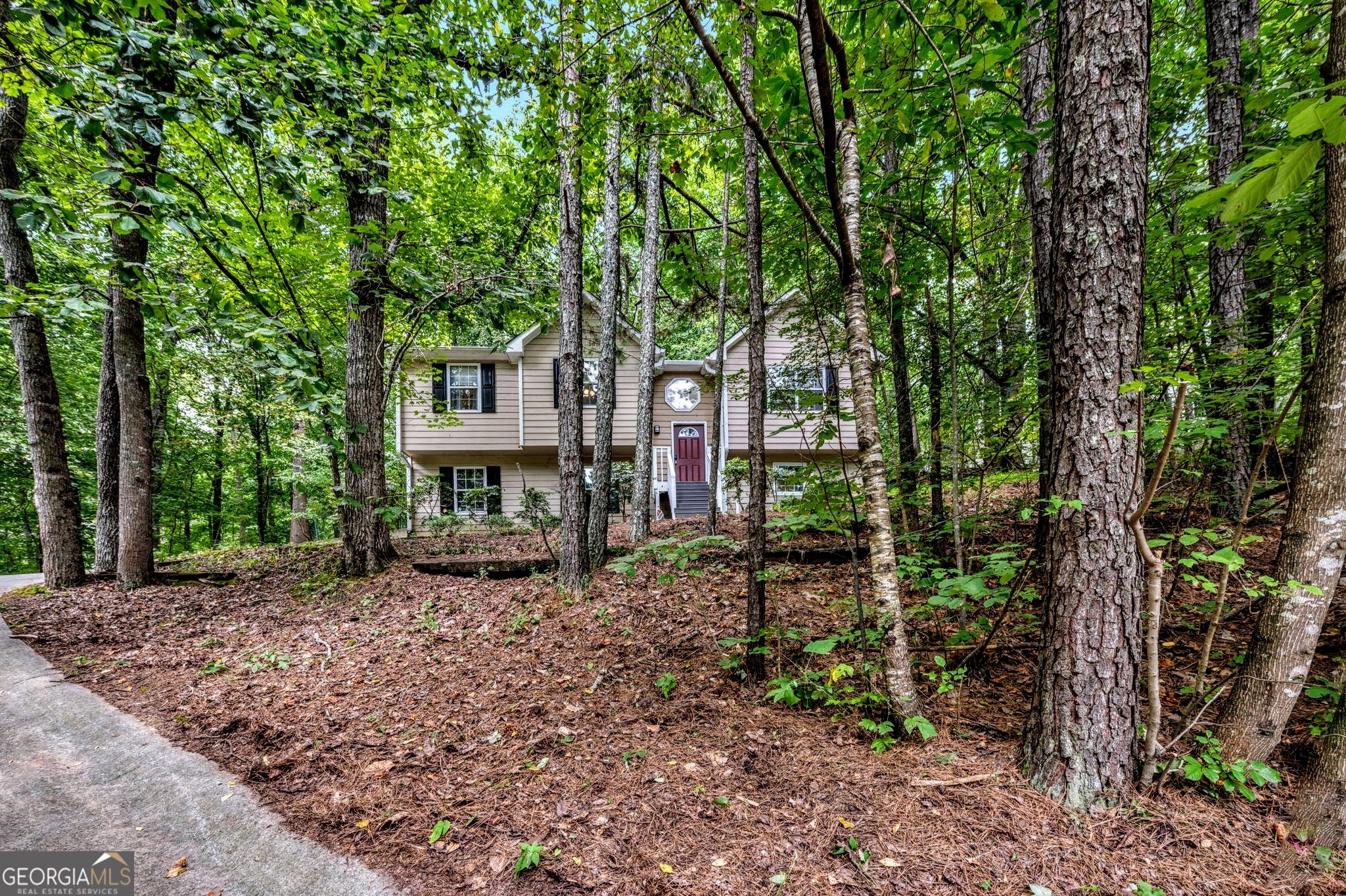 221 Remington Lane Acworth, GA 30101 - Photo 20 of 21 a view of a house with a tree in the background