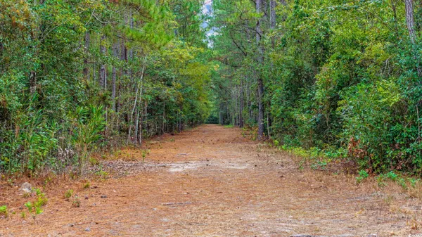 $999,900 | Tbd Riverbend Road, Loris, SC 29569