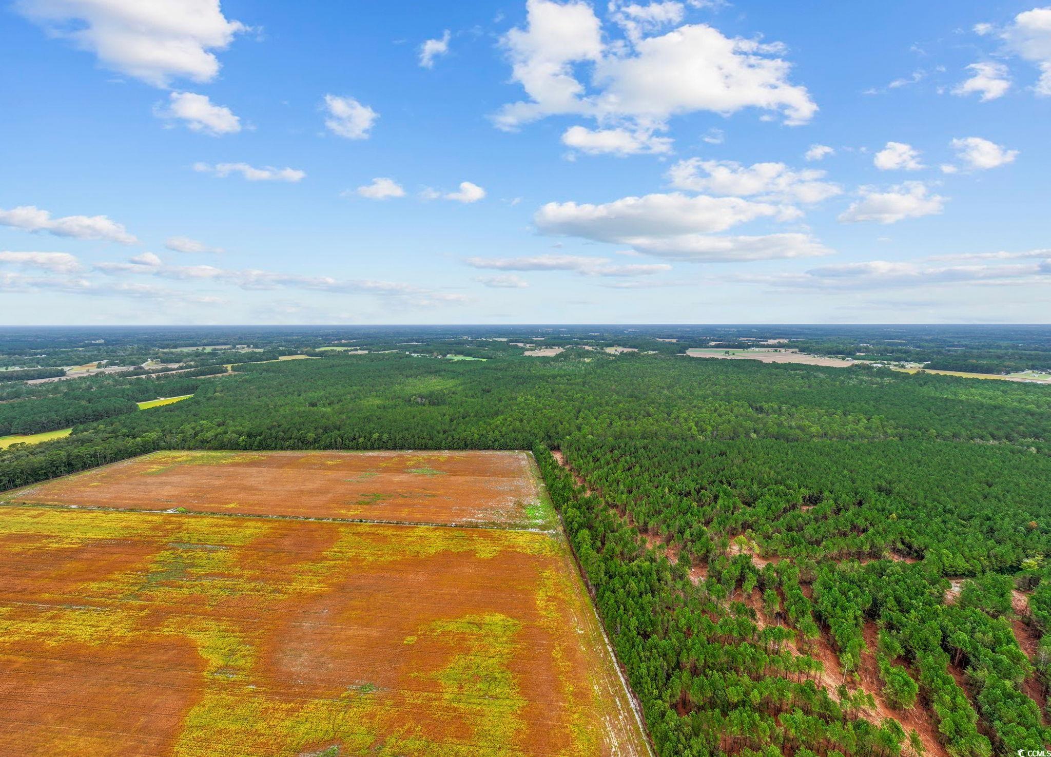 Tbd Riverbend Road Loris, SC 29569 - Photo 4 of 15