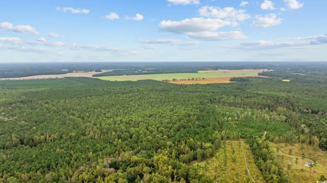 $999,900 | Tbd Riverbend Road, Loris, SC 29569