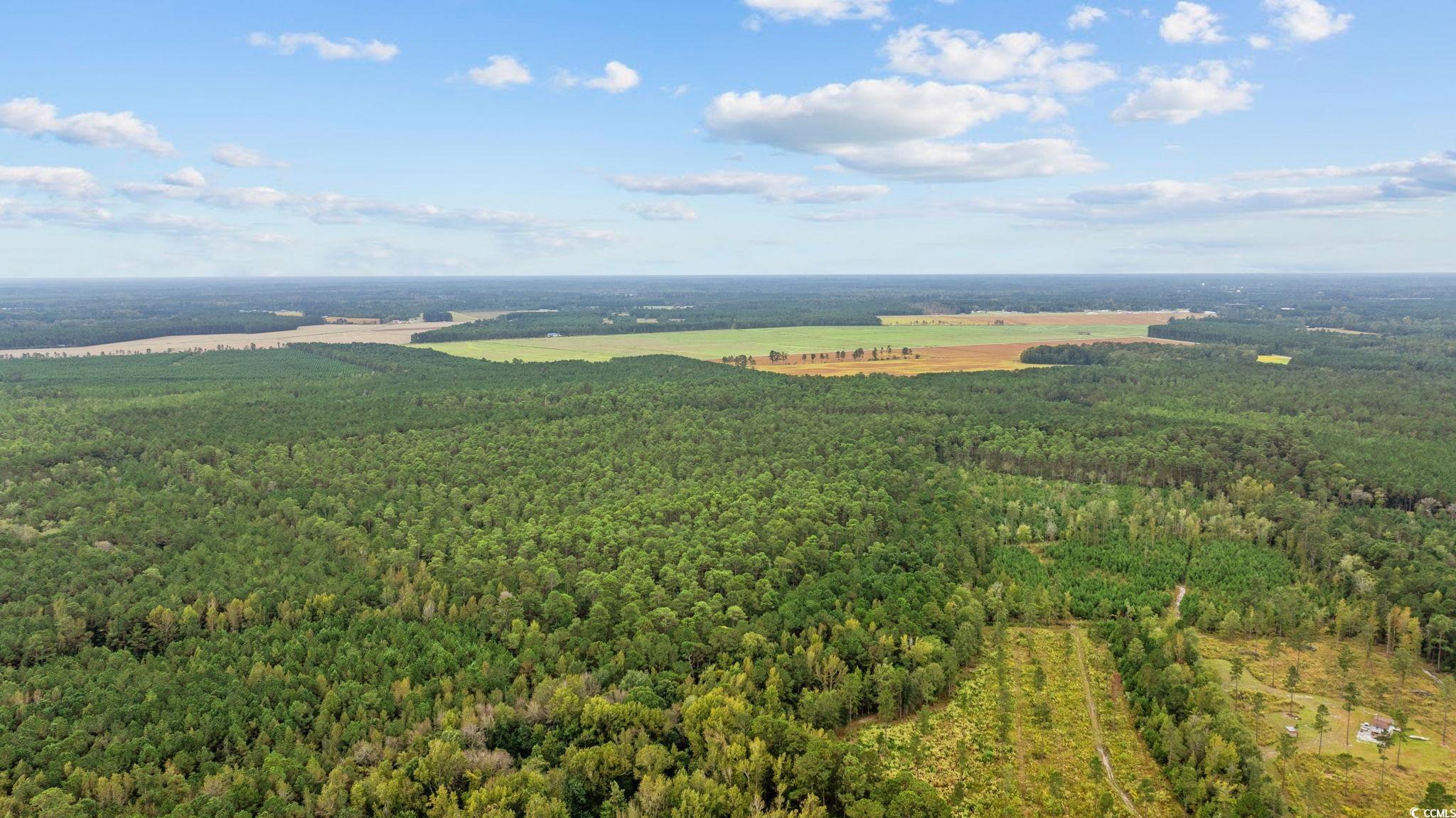 Tbd Riverbend Road Loris, SC 29569 - Photo 5 of 15