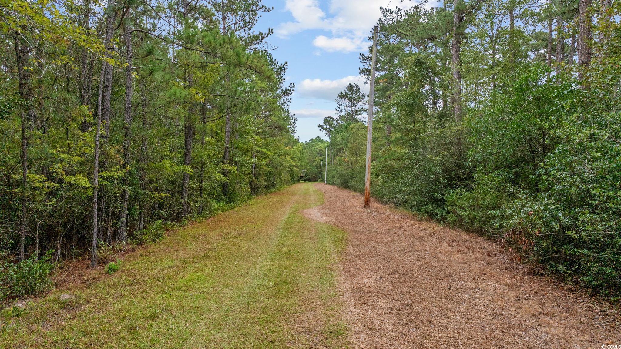 Tbd Riverbend Road Loris, SC 29569 - Photo 7 of 15
