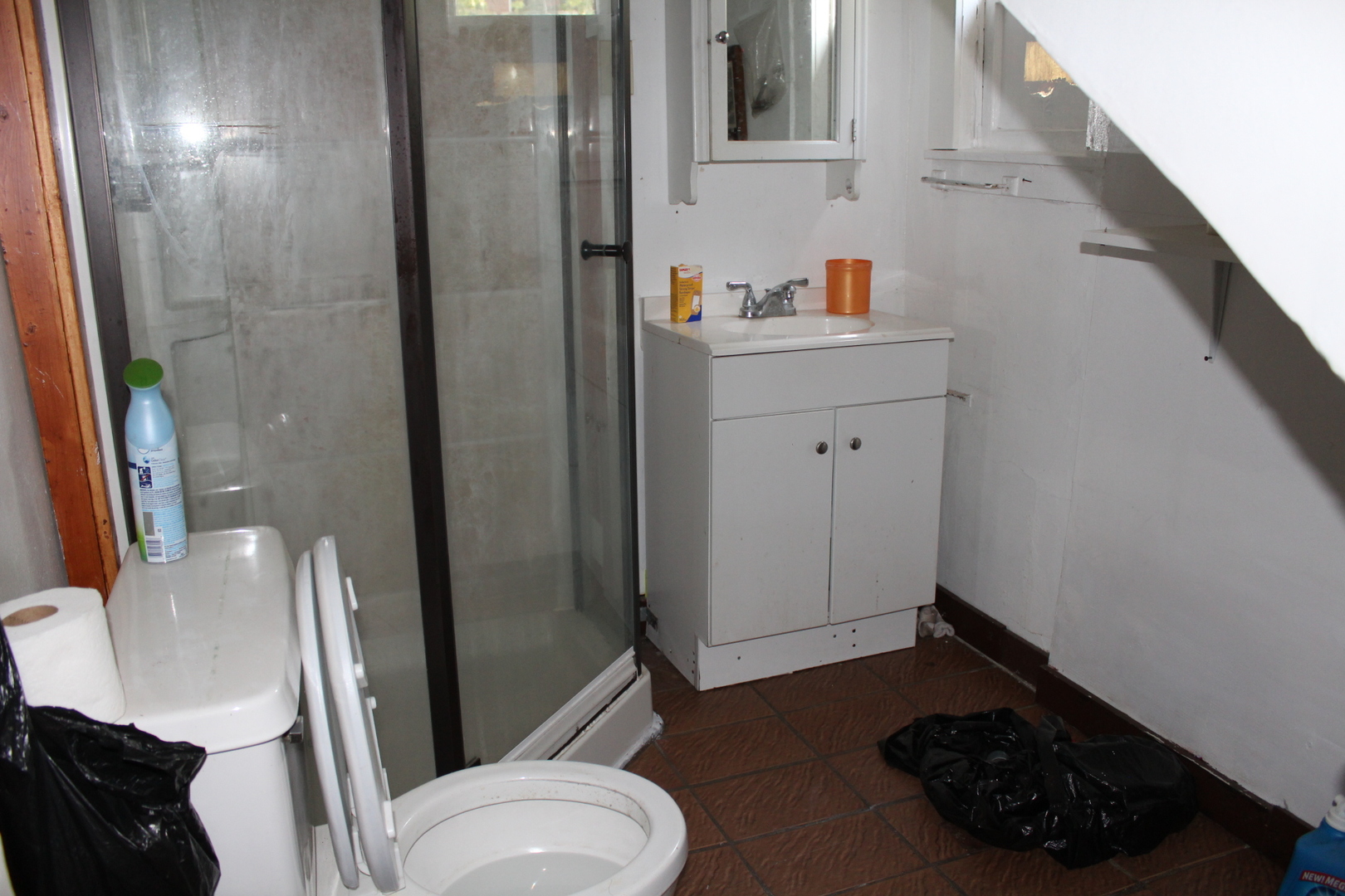 4805 South Elizabeth Street Chicago, IL 60609 - Photo 5 of 12