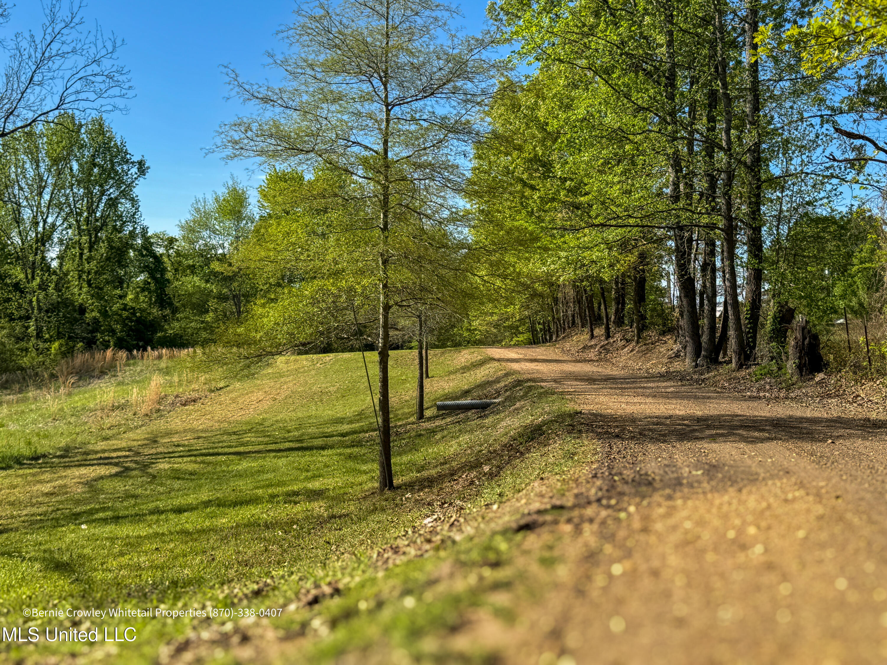 Franklin Road Batesville, MS 38606 - Photo 11 of 20 Panola 44.9 Kinloch -13