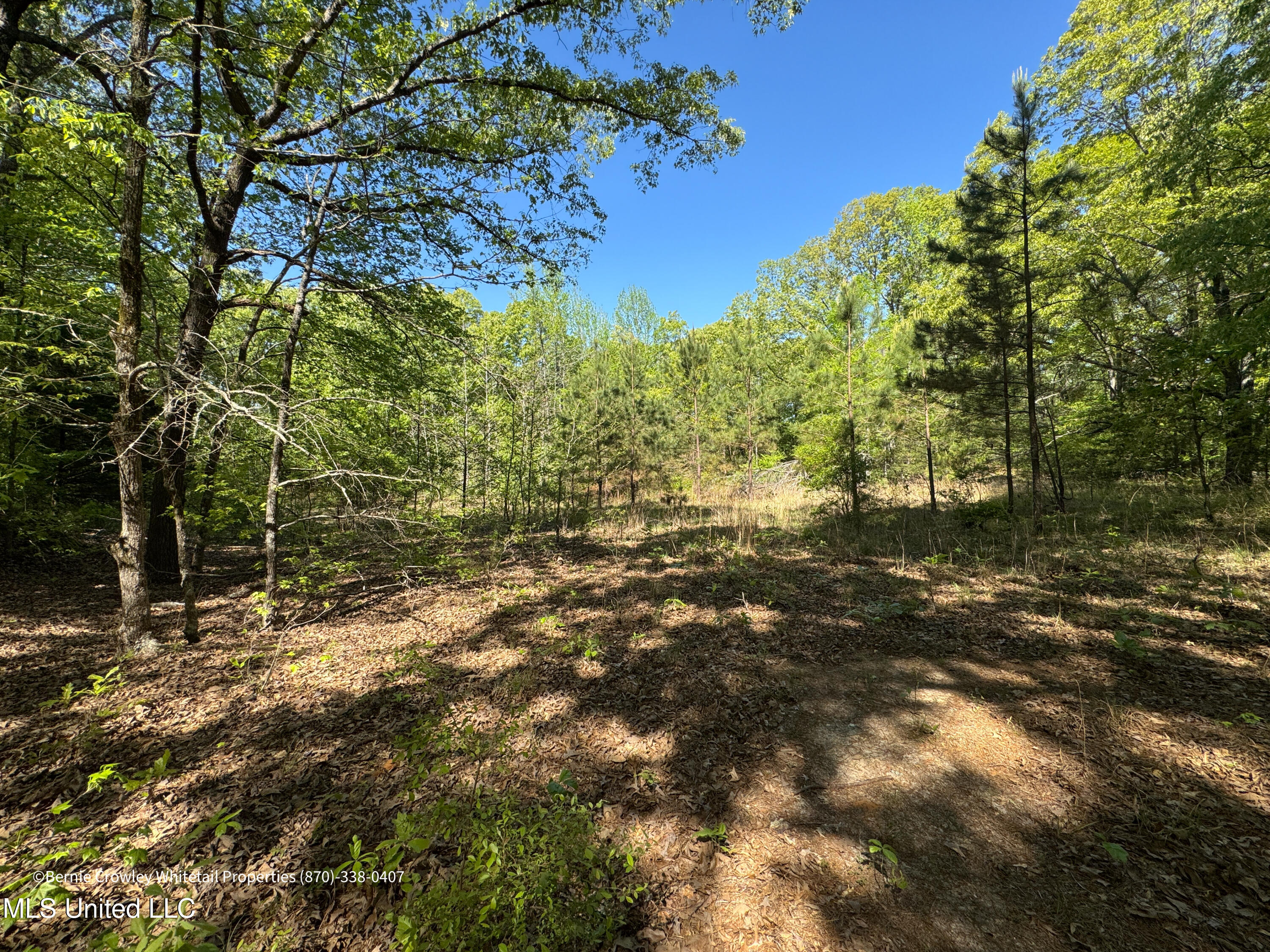 Franklin Road Batesville, MS 38606 - Photo 19 of 20 Panola 44.9 Kinloch -27