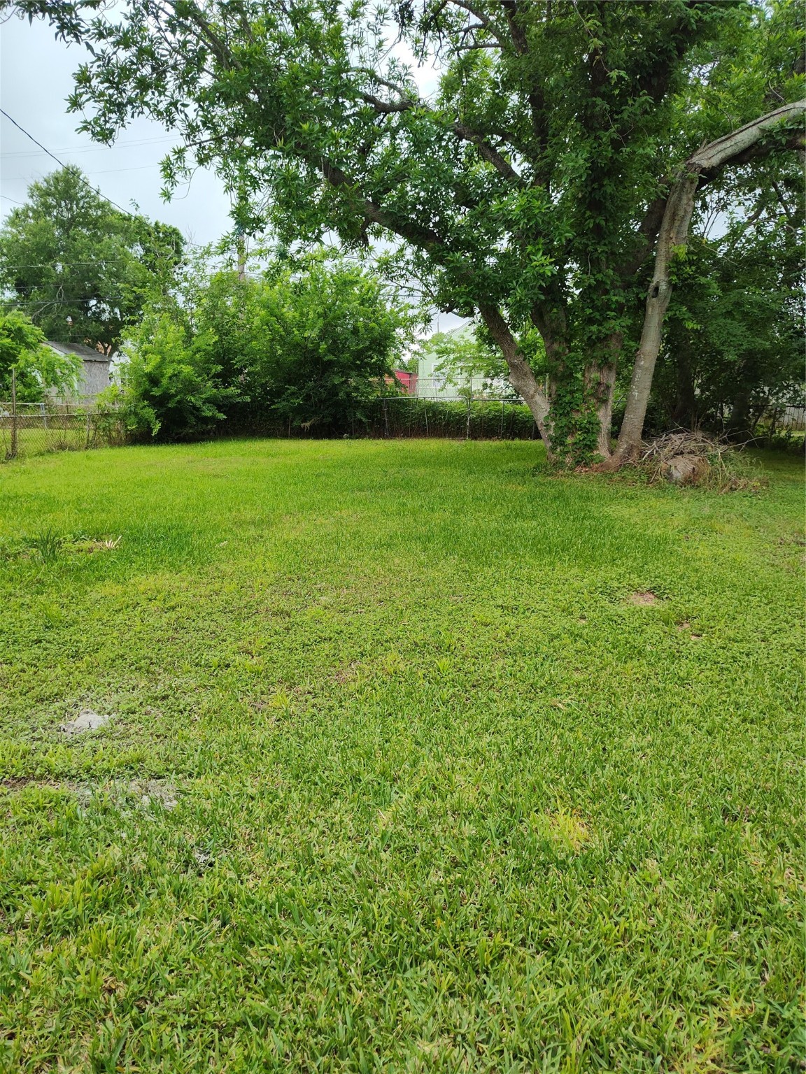 527 West 6th Street Freeport, TX 77541 - Photo 25 of 25 a view of yard with green space